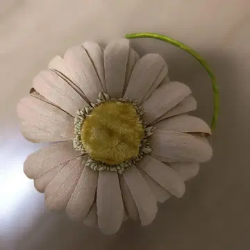 핑크하우스 오프핑크색 마가렛 코사지 (보관품, 케이스 없음)