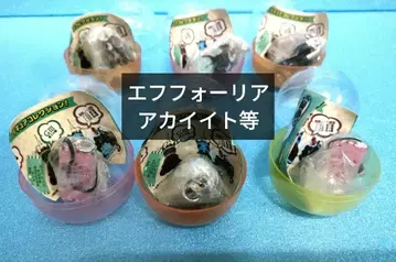 에프포리아 아카이토 등 아이돌 호스 미니 컬렉션 경마