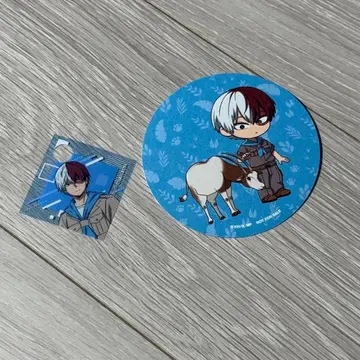 나의 히어로 아카데미아 토부 동물공원 토도로키 쇼토 코스터