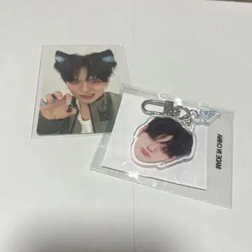 TREASURE YOSHI 키링/트레이딩 카드