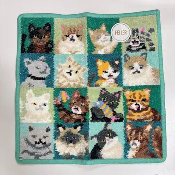 페이 룩! 마이 캣