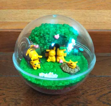 리멘트 테라리움 컬렉션 포켓몬스터