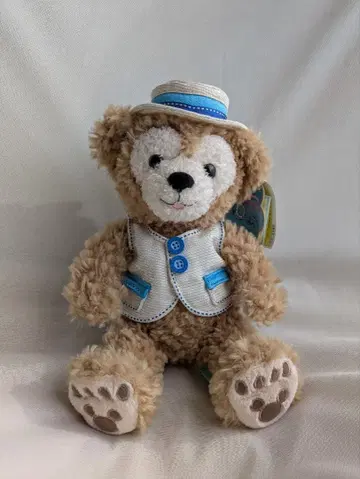 미소 짓는 곰 봉제 인형 베스트와 모자 포함