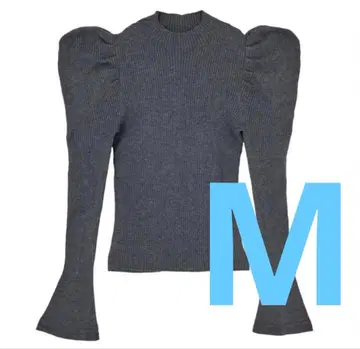 volume sleeve glitter rib knit top