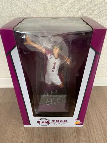 [라스트 원상] 하이큐!! 우시지마 와카토시 해피 복권