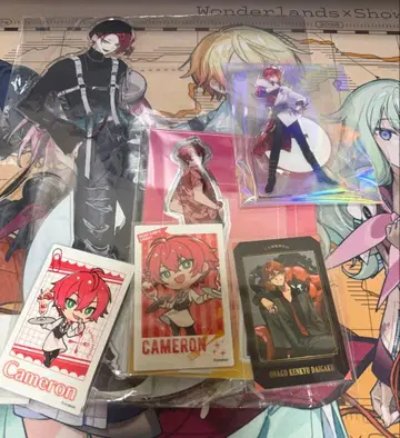 여자 연구 대학 캐머론 굿즈