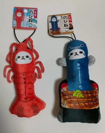 노비네코 치바 나리타 이세에비 나리타 2세트