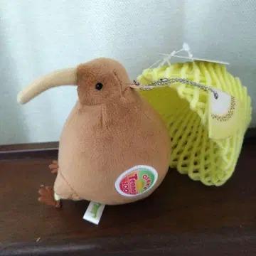 텐노지 동물원 키위 키위 골드 키위 ver 옐로우 컬러 펠리시모