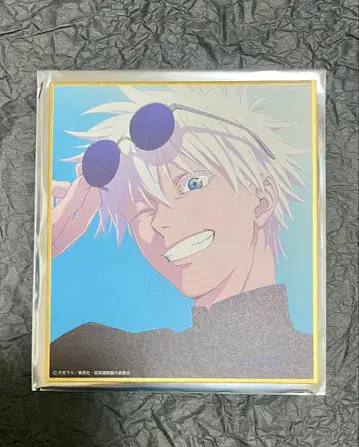 주술회전전 회옥옥절 고죠 사토루 블라인드 미니 색지