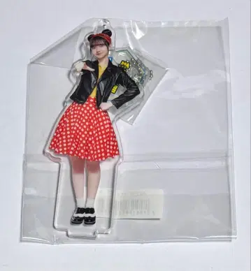 노기자카46 카나카와 사야 아크릴 스탠드 노기자카 스키츠 굿즈 새상품