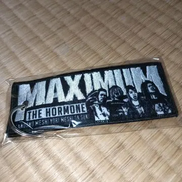 맥시멈 더 호르몬 M.T.F.H. 플라이트 택/키링