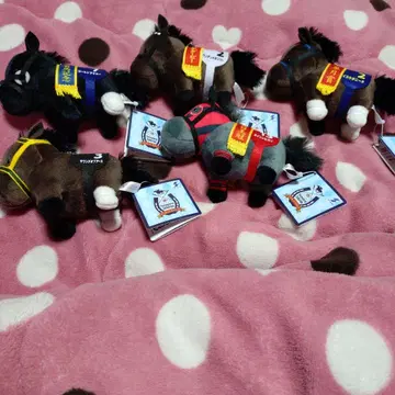 서러브레드 컬렉션 볼 체인