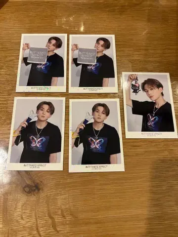 야기 유세이 포토카드 시크릿