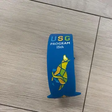 USC PROGRAM 15th 러버 밴드