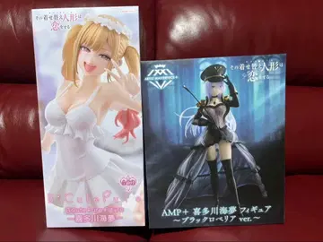 타가와 메구미 비주얼 피규어 & 블랙 로벨리아 ver.