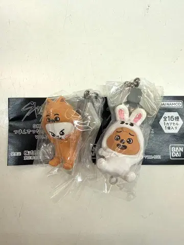 SKZOO 츠만데츠나게테마스코토 vol.2 리노 한 된장