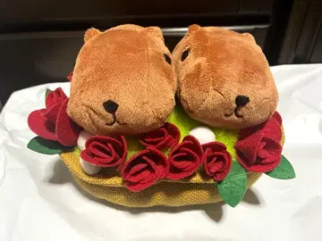 카피바라 씨 산큐루바룬 봉제 인형