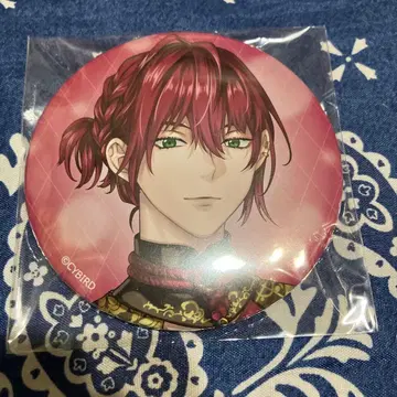 잘생긴 왕자 공식 비주얼 팬북 특장판 카가리 캔뱃지