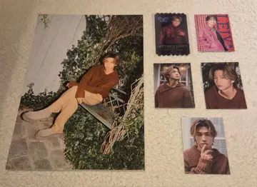 세구치 레야 패널 트레이딩 카드 클리어 픽처 6점 세트