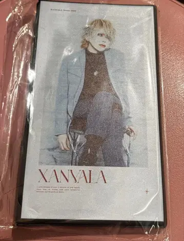 XANVALA 70. 크리스마스 폴라로이드 홀더 수트 Xross