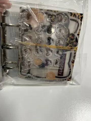 키티 샤카 파일 키티 샤카샤카 파일