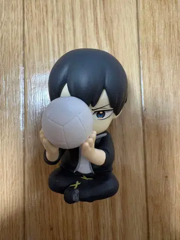 하이큐!! 숨바꼭질 카게야마