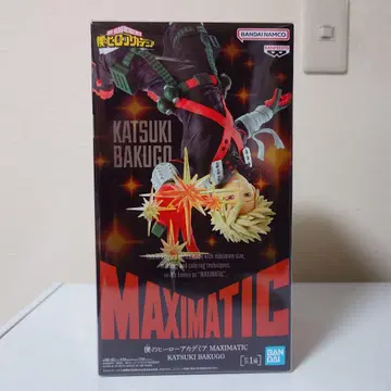 나의 히어로 아카데미아