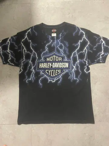 초레어! 90s 할리 티셔츠! 블루 프레임!