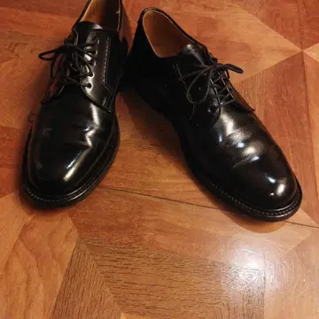 리걸 플레인 토우 더비 2504 REGAL 25