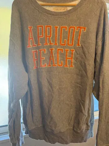 B:MING by BEAMS APRICOT BEACH 맨투맨