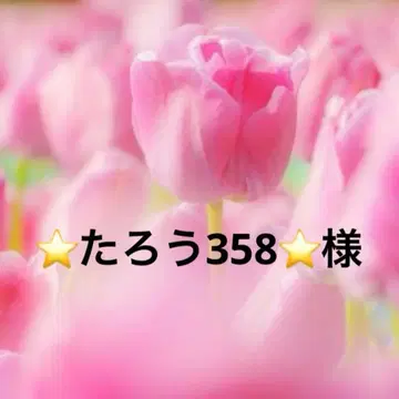 타로358 님 포켓 티슈 케이스