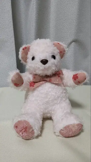 하우텐보스 사쿠라 베어