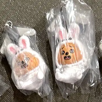 skzoo 츳만데츠나게테마스코토 한 2세트