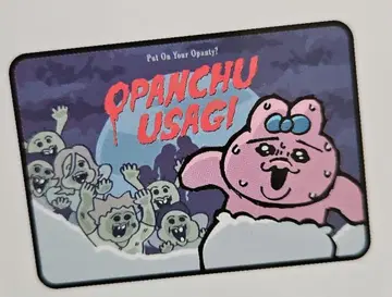 한정판 빤쮸토끼 담요 무릎담요 하프