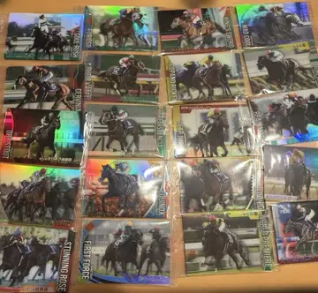 서러브레드 호스 컬렉션 제3R 묶음 판매