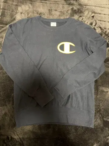 Champion Reverse Weave 트레이닝복 L 사이즈 그레이