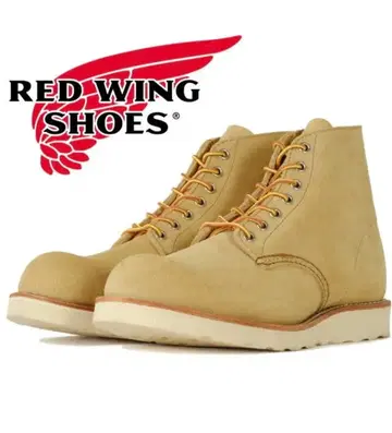 레드윙 아이리쉬 세터 RED WING 8167