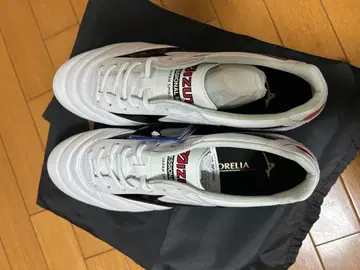 모렐리아2japan 28.5