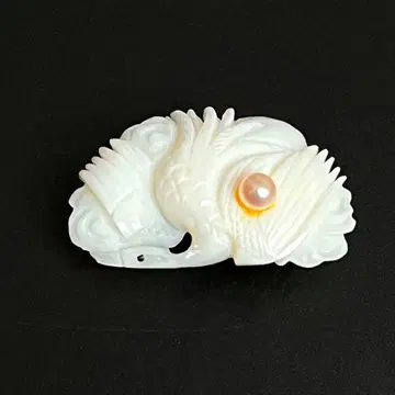 오비 고정 띠 33 쉘 펄 학?