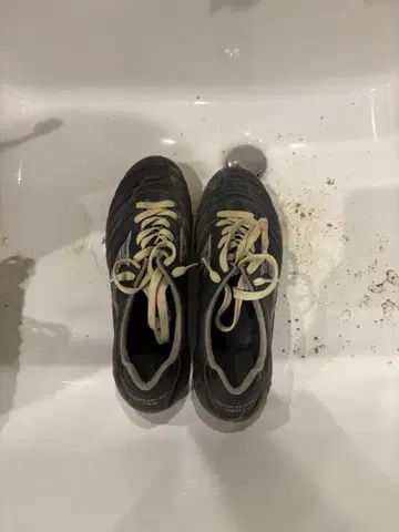 MONARCIDA NEO 블랙 스파이크