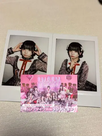 iLiFE! 아이스 란 폴라로이드 2장 세트