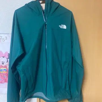 THE NORTH FACE XL 그린 나일론 자켓