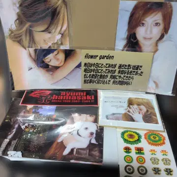 ayumi hamasaki ARENA TOUR 2003-2004