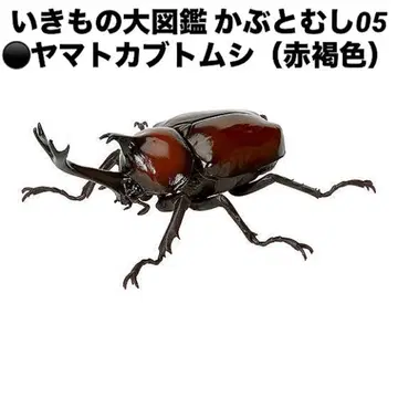 [ 미개봉 새상품 ] 생물대도감 장수풍뎅이05 생물대도감 장수풍뎅이