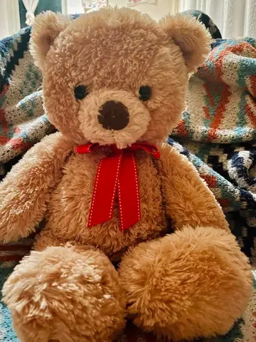 오로라 AURORA 곰 봉제 인형