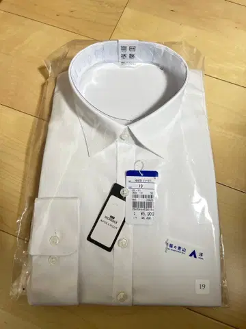 다림질 불필요 레귤러 카라 블라우스 (긴팔)