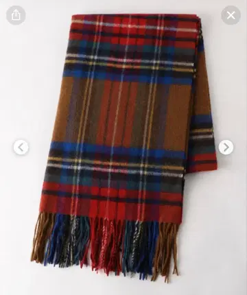 greenlabelrelaxing x 체크 무늬 스톨 브라운