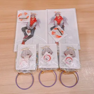 Crazy Raccoon SD 빅 아크릴 스탠드 5개 세트