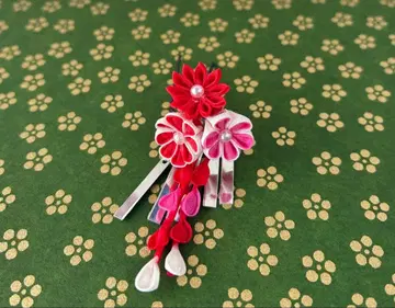 리카짱 츠마미자이쿠 헤어콤 (1/6 인형) 2