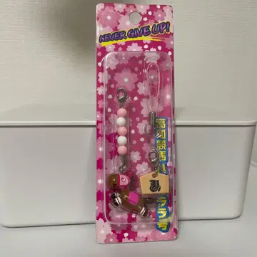 고치 경마 하루우라라 호 스트랩